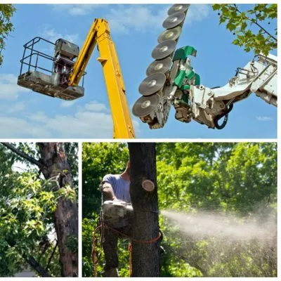 Custom yard cleanup service experts serving French Camp, CA - Gil's Landscaping and Tree Service