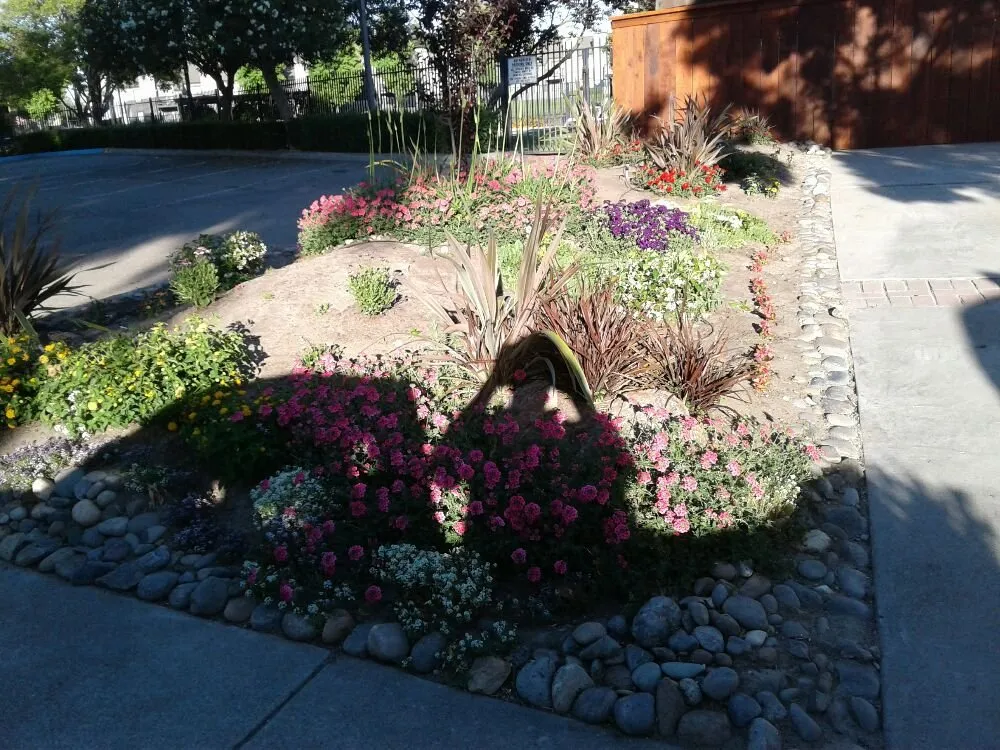 Affordable yard cleanup service in French Camp, CA by Gil's Landscaping and Tree Service