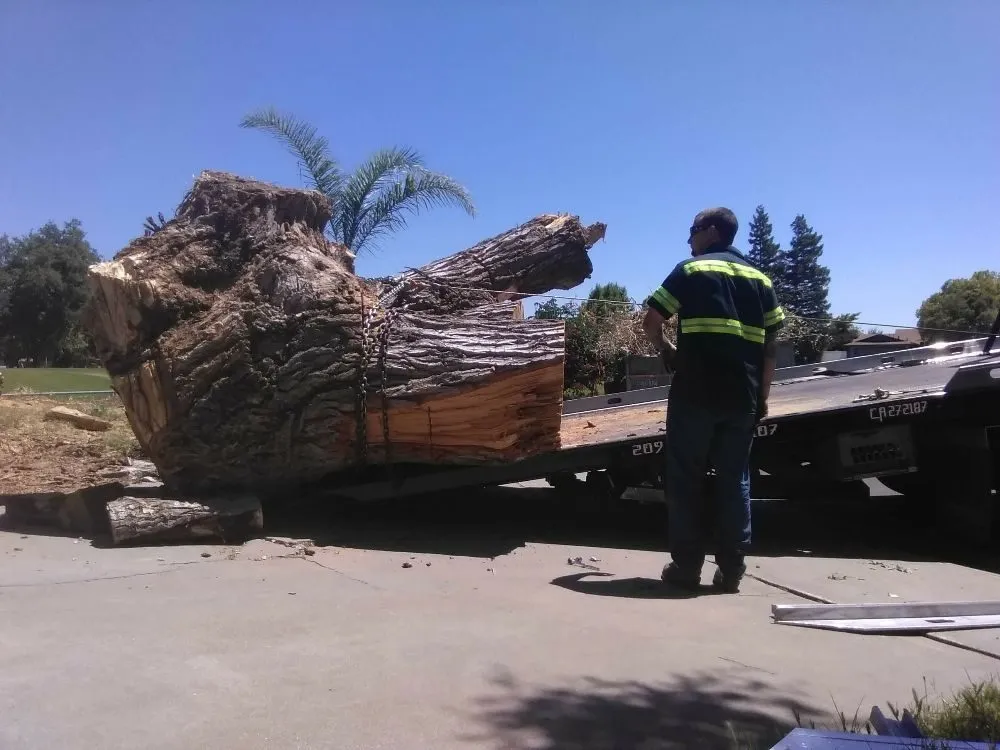 Local lawn mowing service for outdoor upgrades in French Camp, CA by Gil's Landscaping and Tree Service