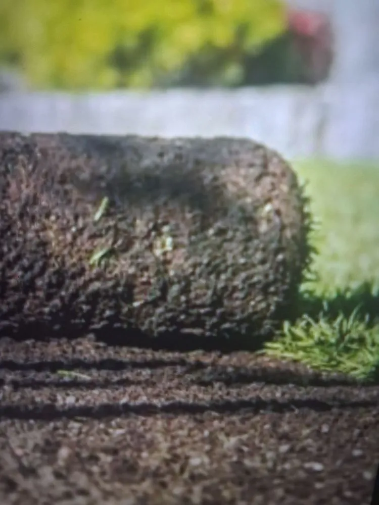 Reliable landscape design experts serving Napa, CA - Gil's Little