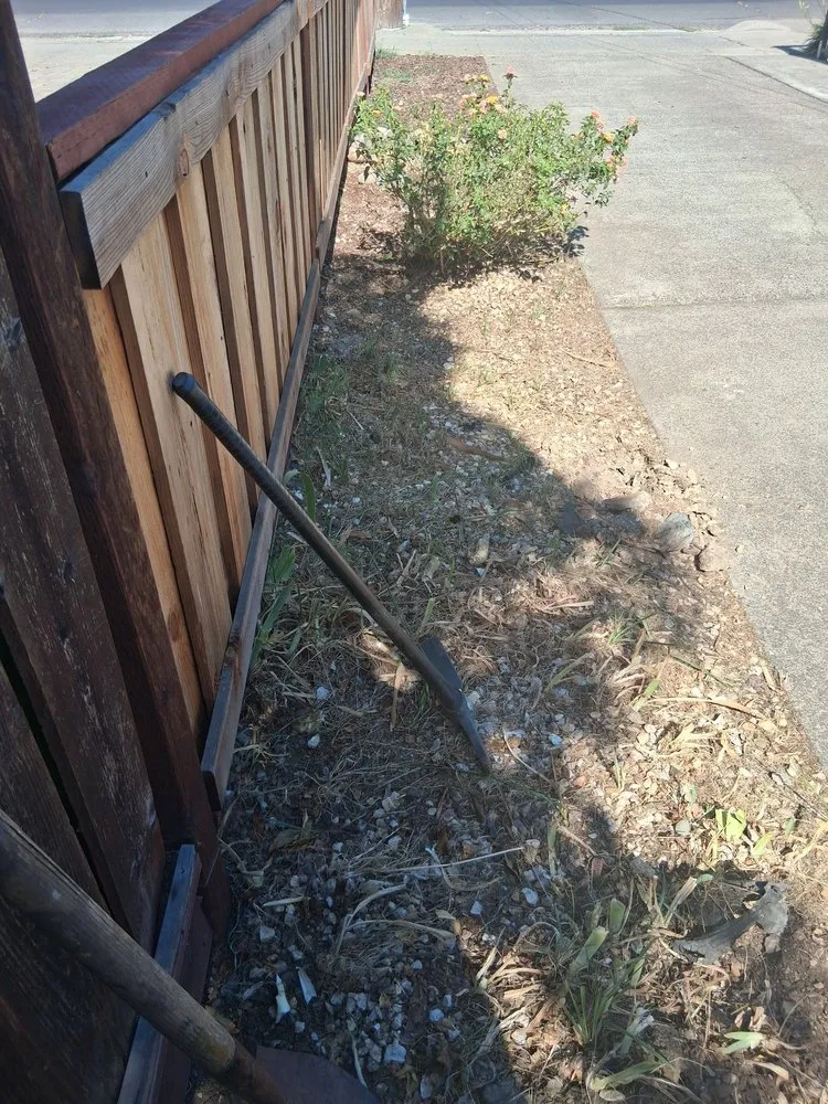 Trusted landscaping services in Napa, CA - Gil's Little