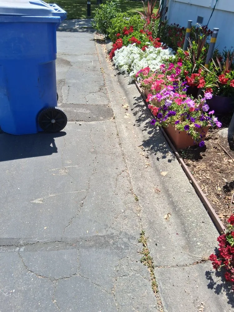 Reliable yard cleanup service in Napa, CA by Gil's Little