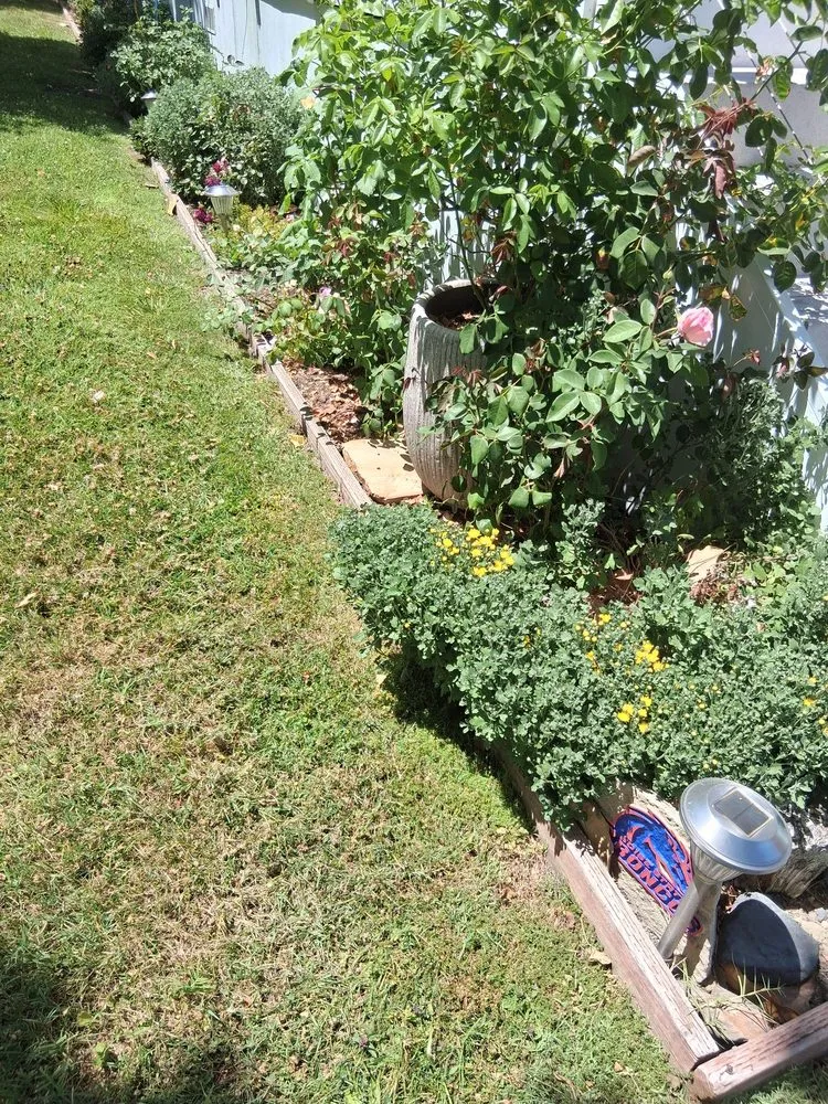 Custom yard maintenance for year-round maintenance in Napa, CA by Gil's Little