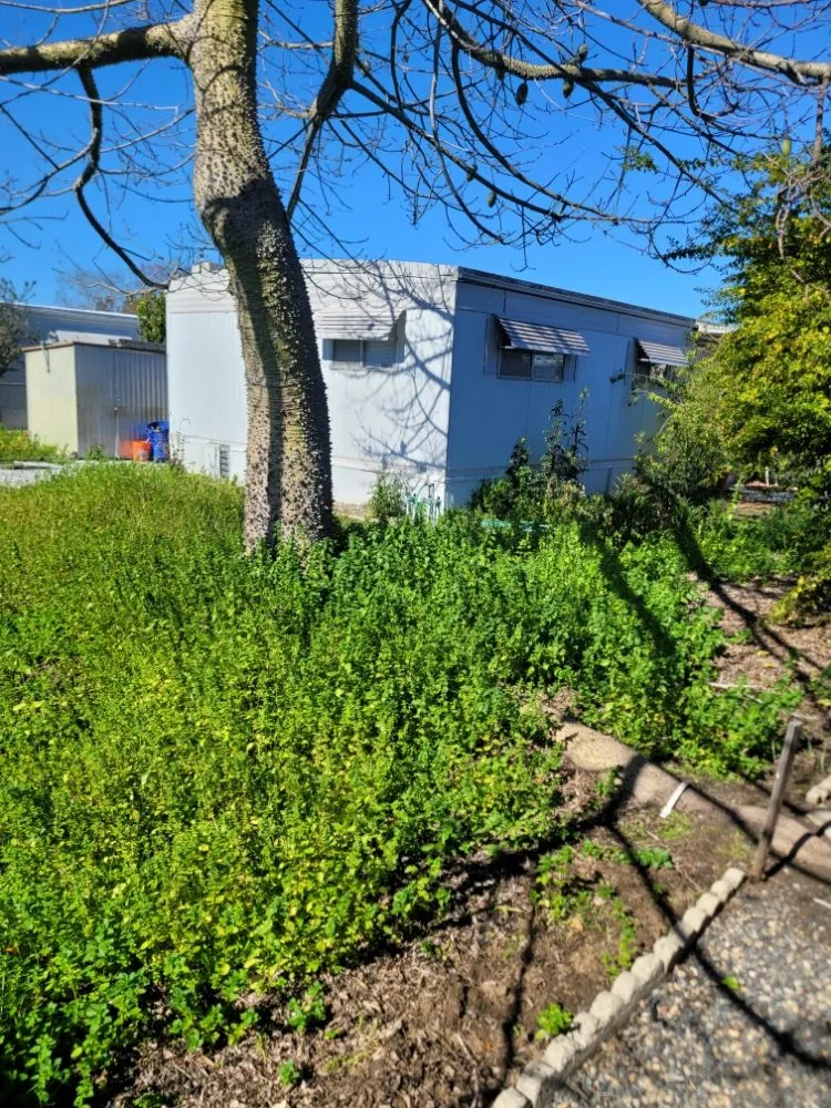 Trusted lawn mowing service for outdoor upgrades across San Diego, CA - Gil's Maintenance