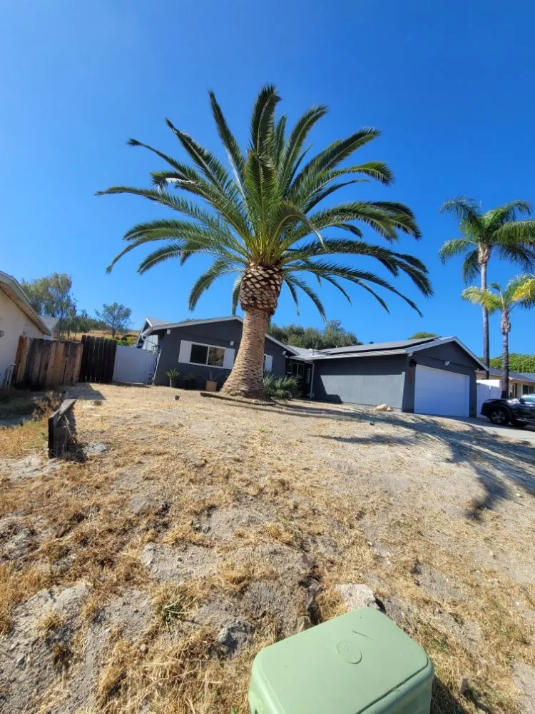 Local landscape design experts serving San Diego, CA - Gil's Maintenance