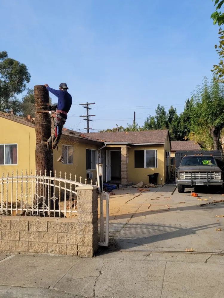 Trusted landscape installation for residential properties in San Diego, CA by Gil's Maintenance