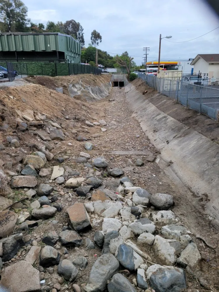 Expert yard maintenance for residential properties across San Diego, CA - Gil's Maintenance