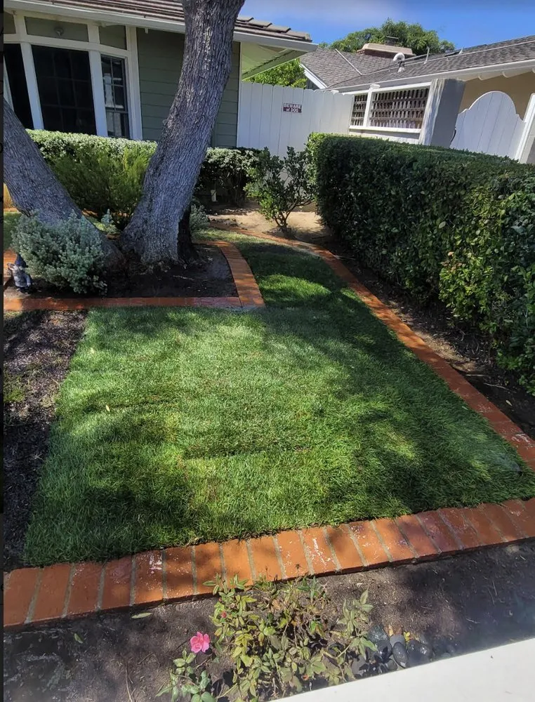 Affordable yard maintenance for residential properties across San Diego, CA - Gil's Maintenance