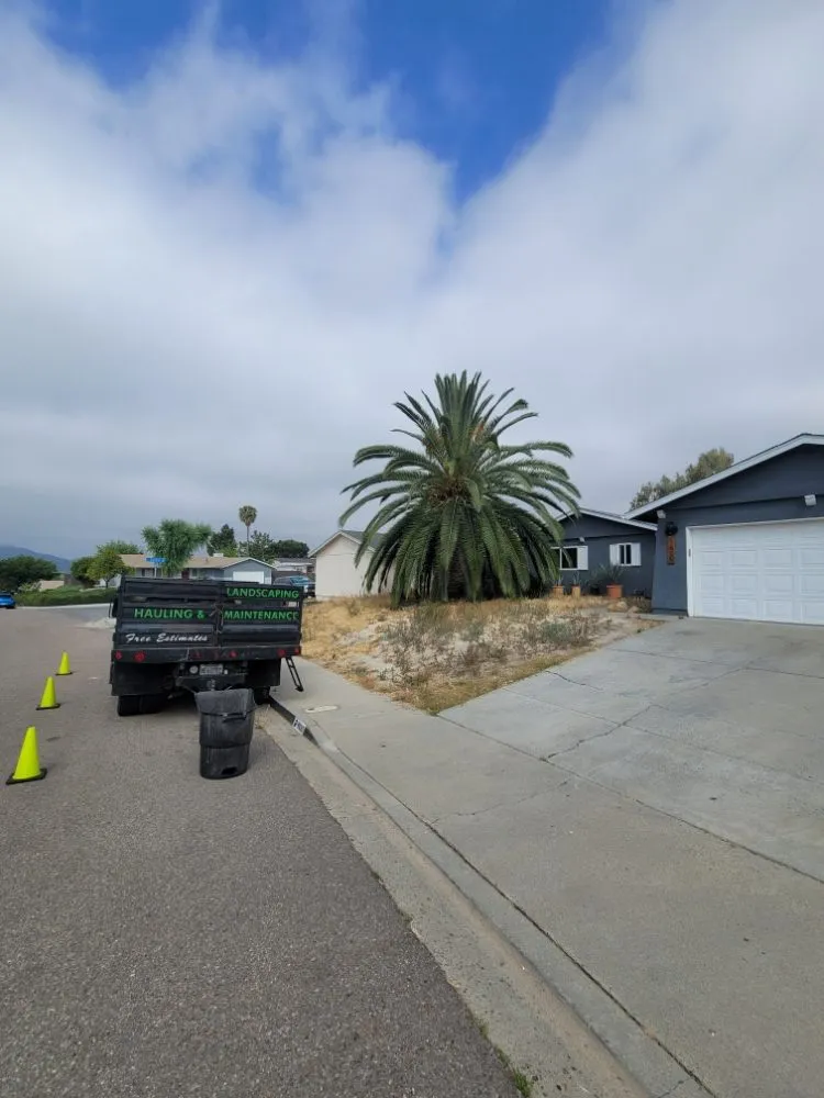 Expert lawn mowing service experts serving San Diego, CA - Gil's Maintenance