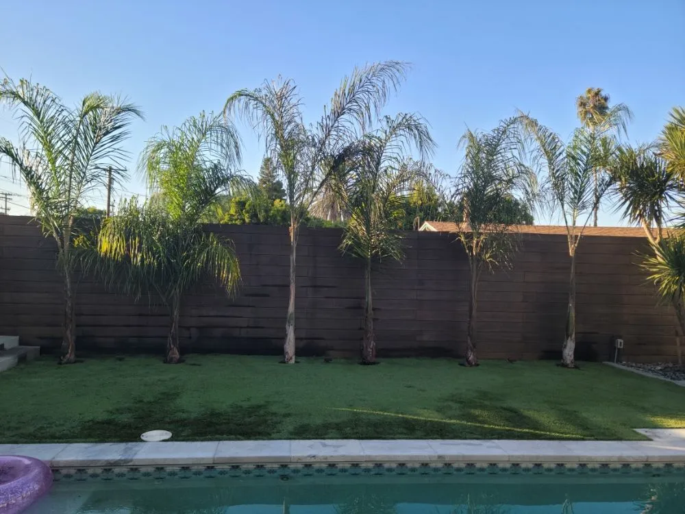 Affordable landscape installation in San Diego, CA - Gil's Maintenance