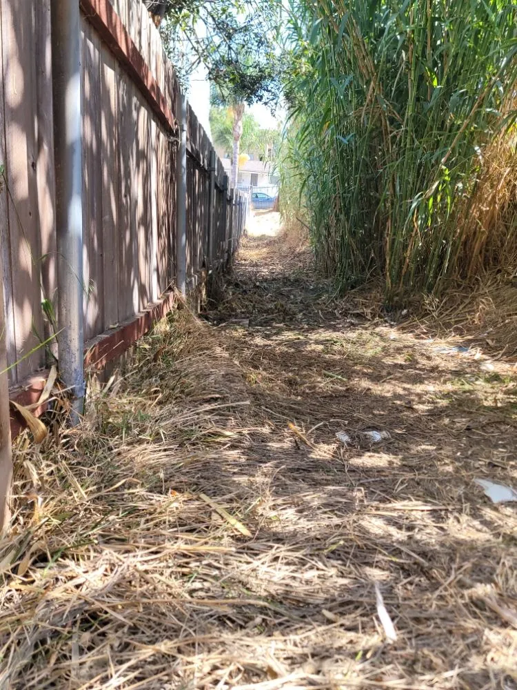 Expert landscaping services in San Diego, CA by Gil's Maintenance