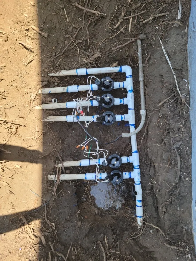 Custom yard cleanup service experts serving San Diego, CA - Gil's Maintenance