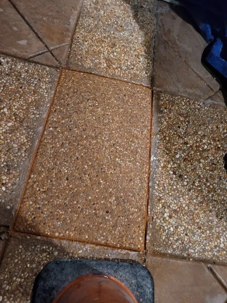 Custom lawn care service in San Diego, CA by Gil's Maintenance