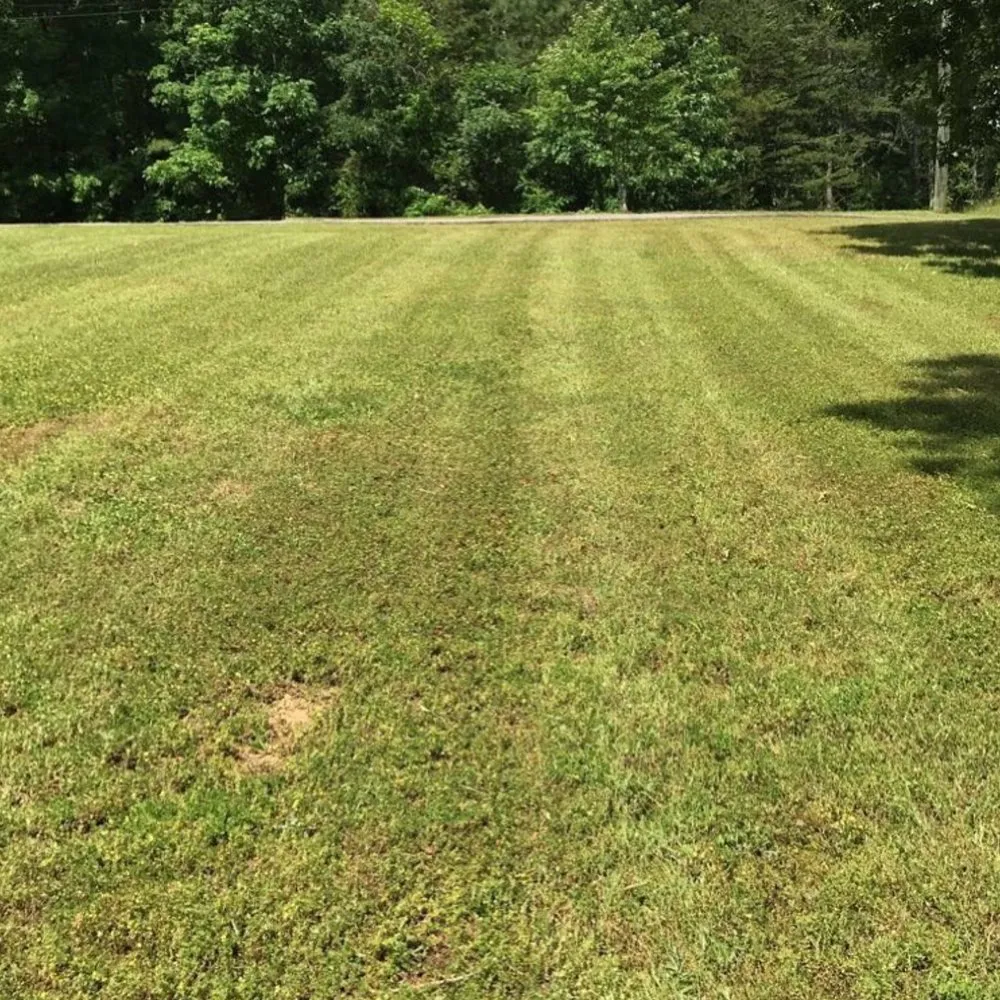 Custom landscape design in Dalton, GA by Gil's Property Maintenance