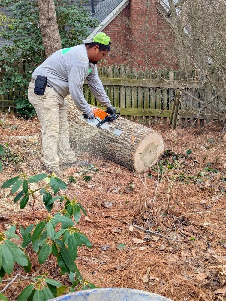 Custom landscape design in Winston-Salem, NC - Gil's Tree Service & Lawn Care