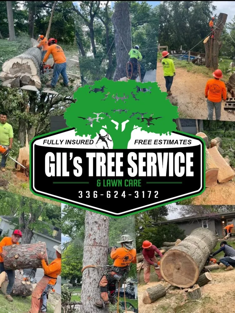 Professional outdoor landscaping experts serving Winston-Salem, NC - Gil's Tree Service & Lawn Care