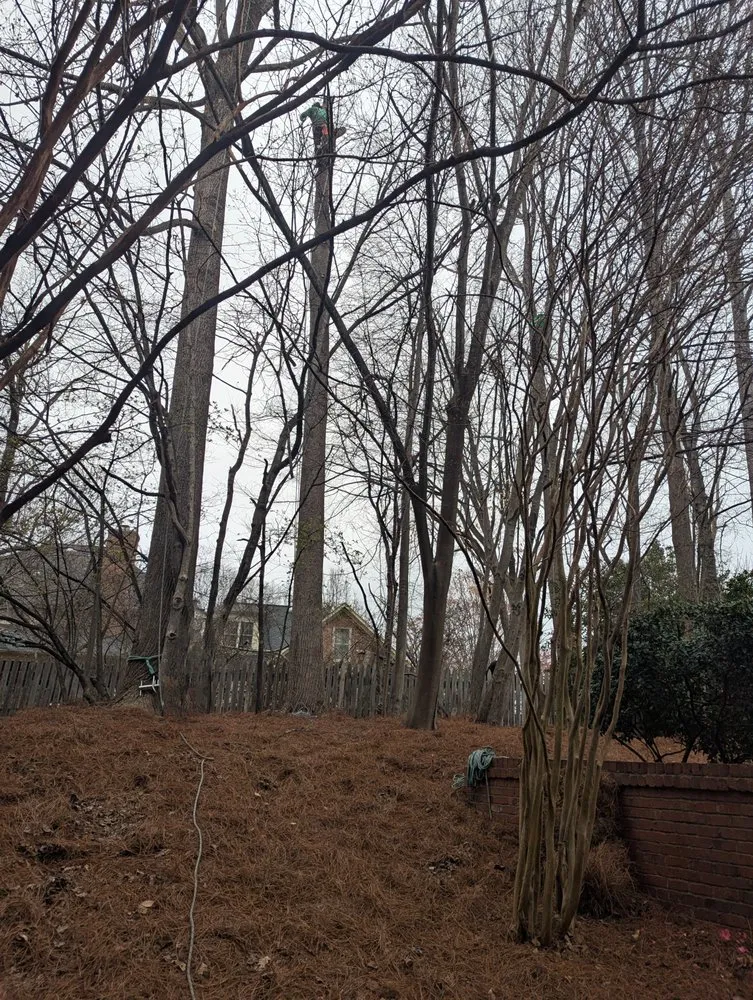 Expert lawn mowing service in Winston-Salem, NC by Gil's Tree Service & Lawn Care