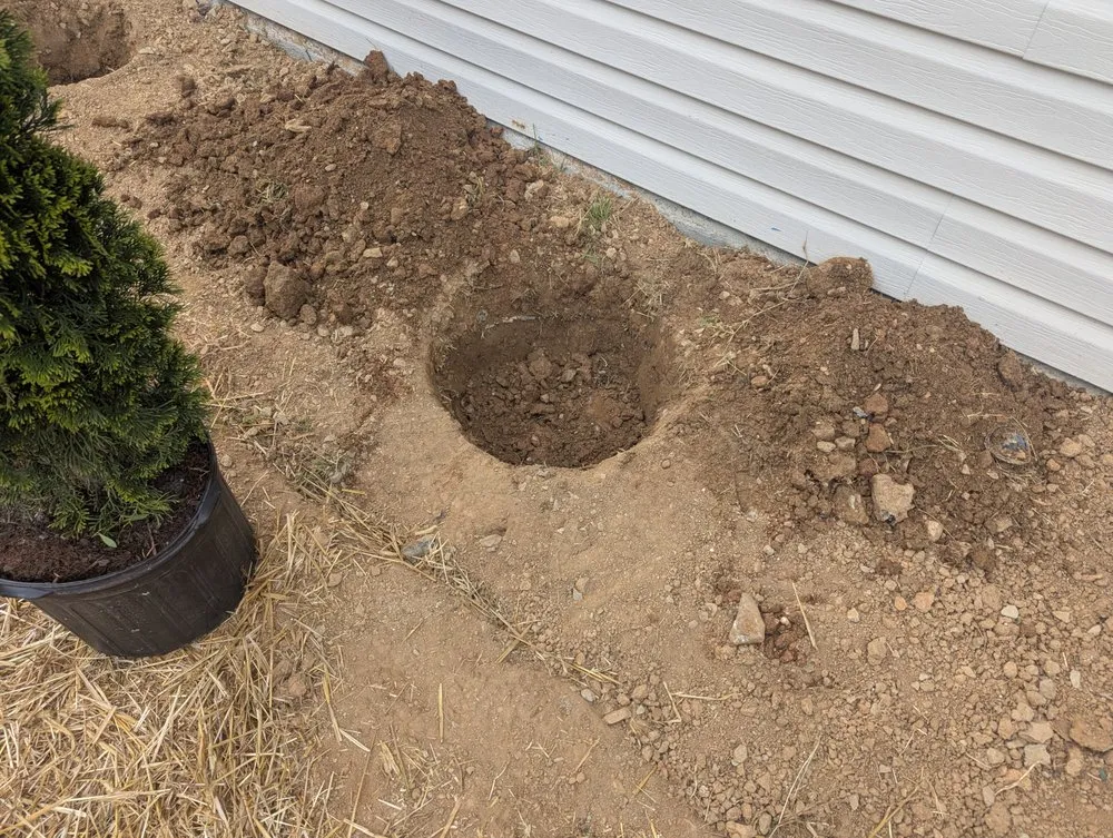 Reliable yard maintenance for homes across Winston-Salem, NC - Gil's Tree Service & Lawn Care