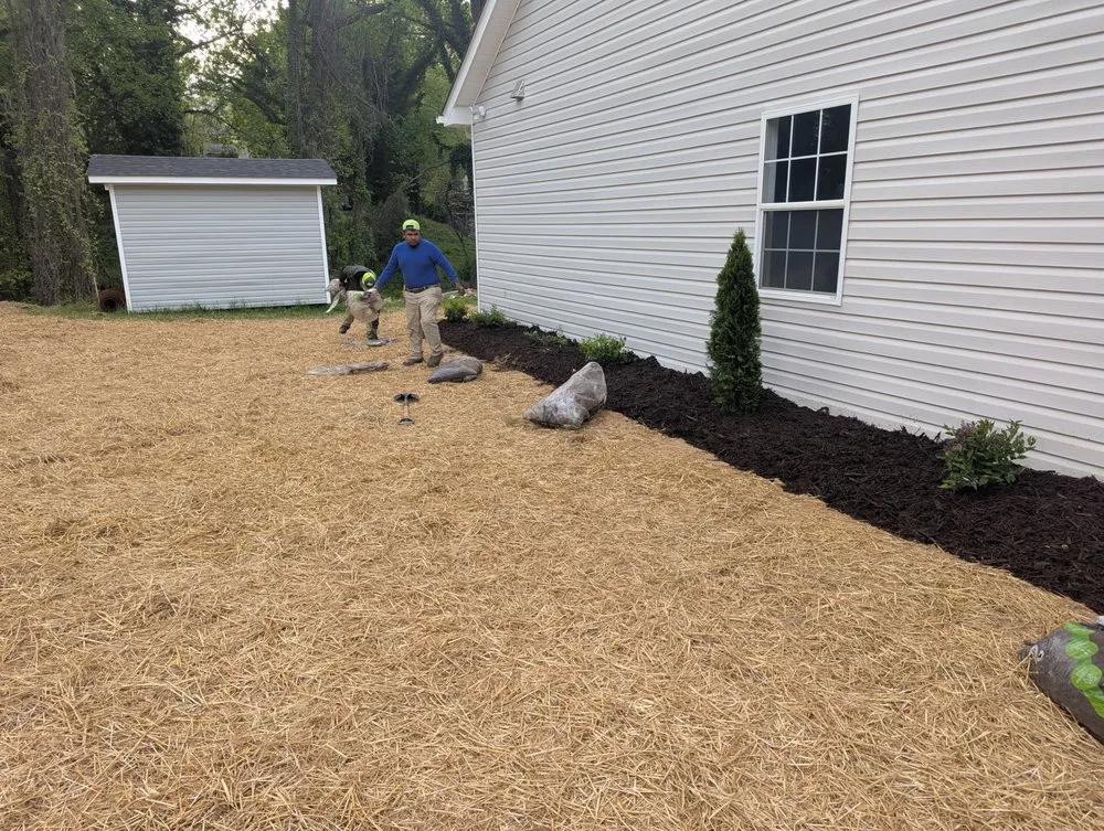Local yard cleanup service in Winston-Salem, NC - Gil's Tree Service & Lawn Care