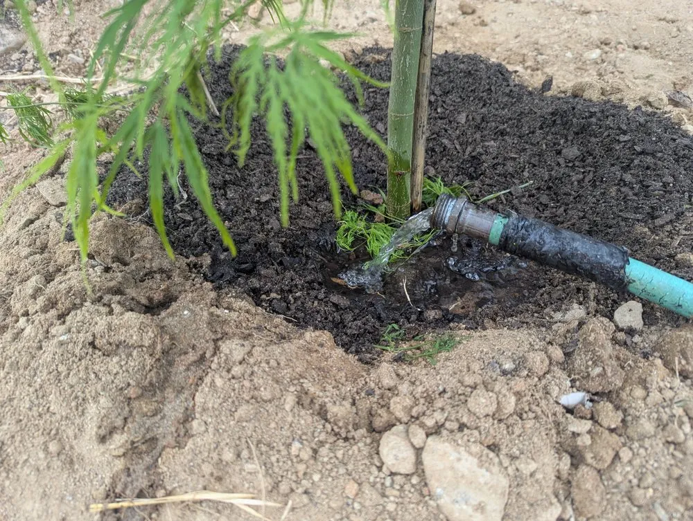 Local garden landscaping in Winston-Salem, NC by Gil's Tree Service & Lawn Care