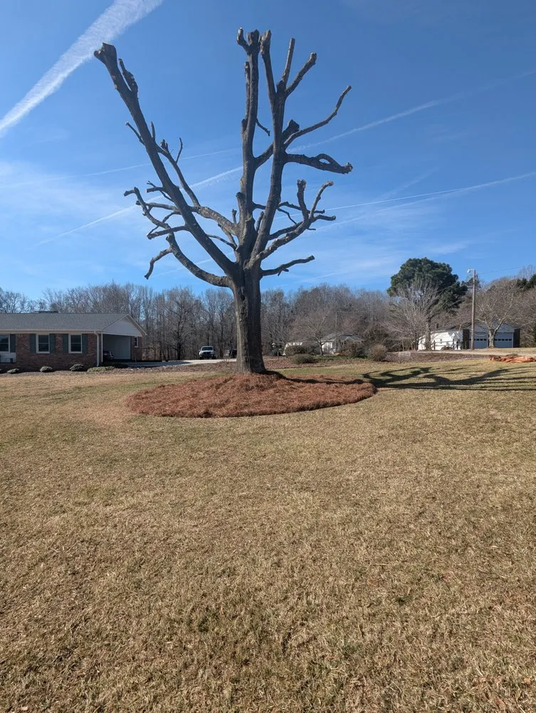 Reliable landscape design in Winston-Salem, NC - Gil's Tree Service & Lawn Care