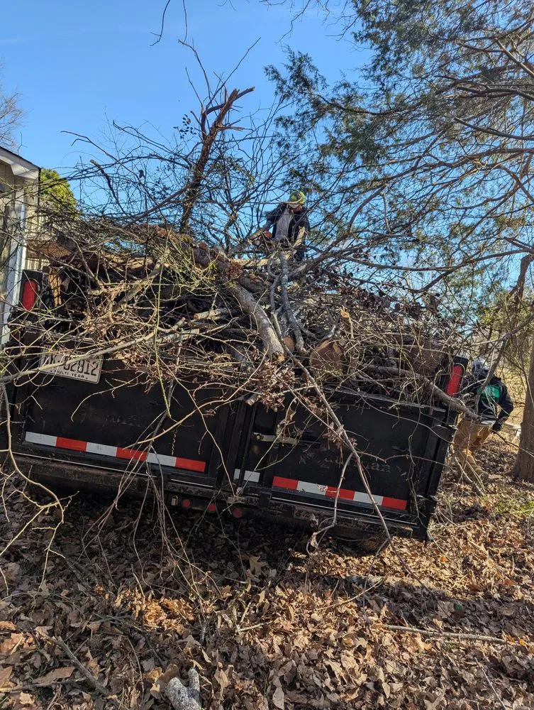 Expert landscaping services in Winston-Salem, NC - Gil's Tree Service & Lawn Care