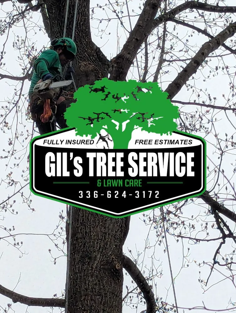 Local landscape installation experts serving Winston-Salem, NC - Gil's Tree Service & Lawn Care