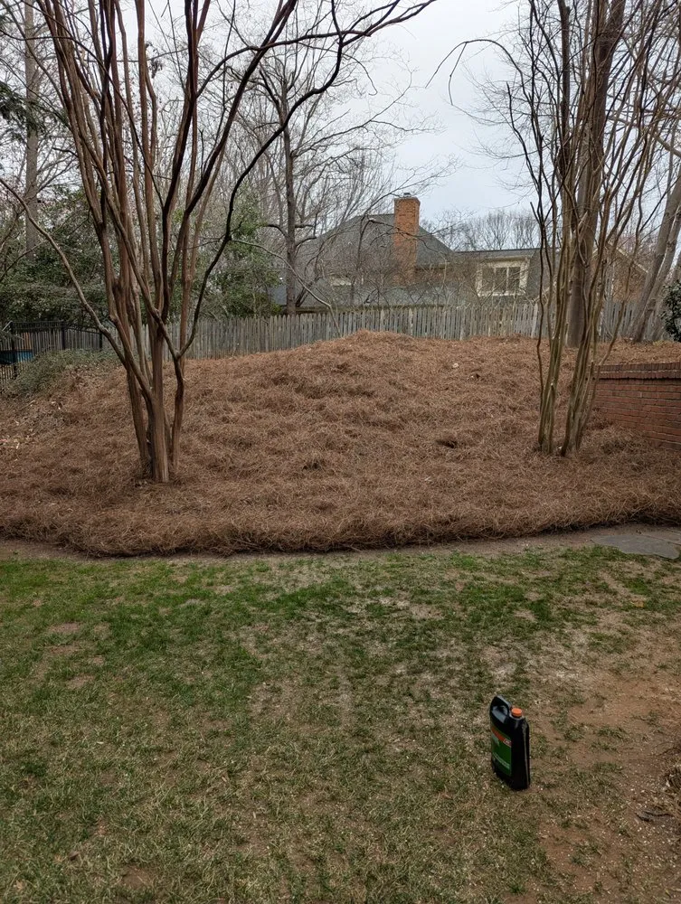 Local landscape installation in Winston-Salem, NC - Gil's Tree Service & Lawn Care