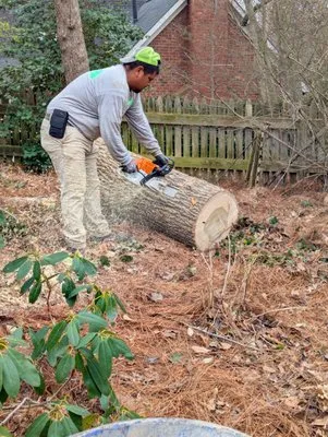 Gil's Tree Service & Lawn Care Logo