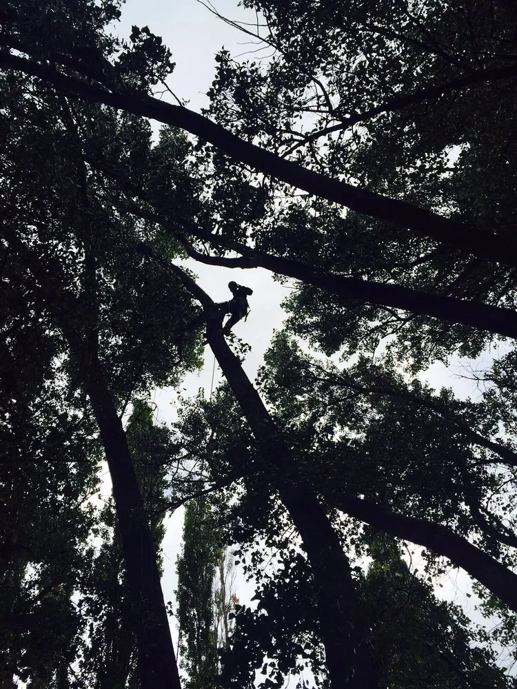 Top-rated residential landscaping for year-round maintenance in Provo, UT by Gilster Landscaping