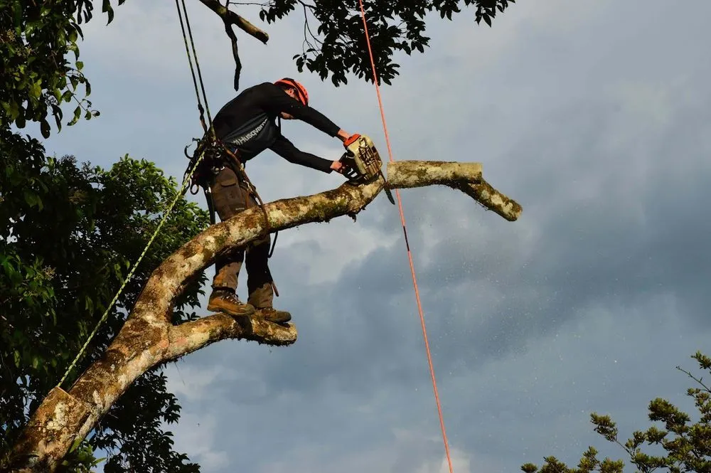 Reliable garden landscaping in Parkville, MD by Gimmys General contracting