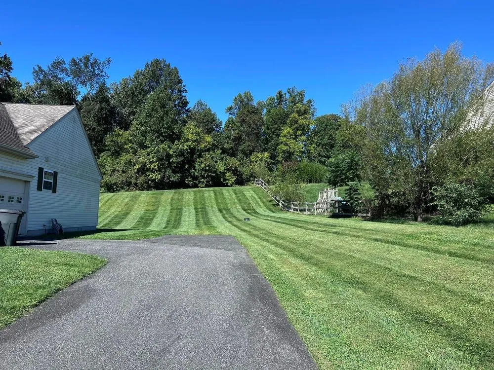 Top-rated landscape installation near you in Parkville, MD by Gimmys General contracting