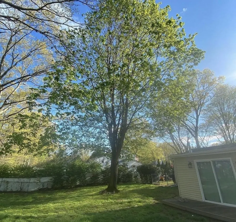 Affordable garden landscaping for outdoor upgrades in Parkville, MD by Gimmys General contracting