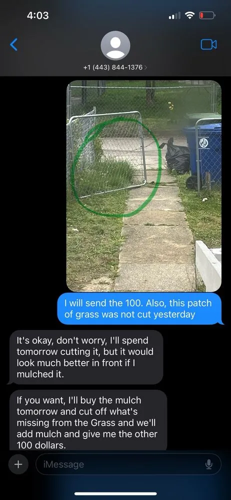 Professional yard cleanup service in Parkville, MD by Gimmys General contracting