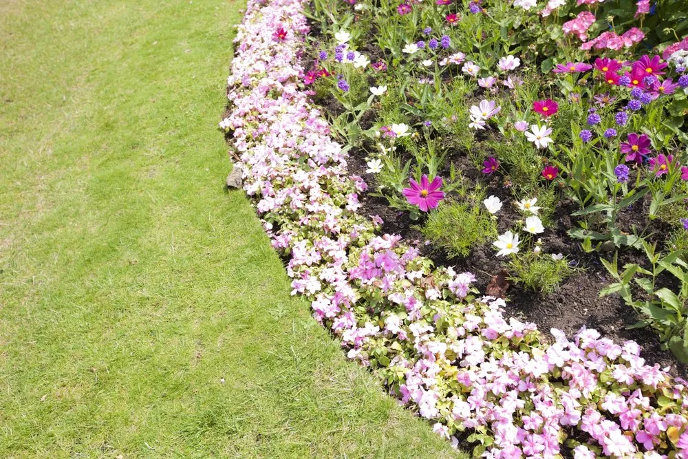Reliable lawn mowing service experts serving Towsan, MD - Gimmys General Contracting