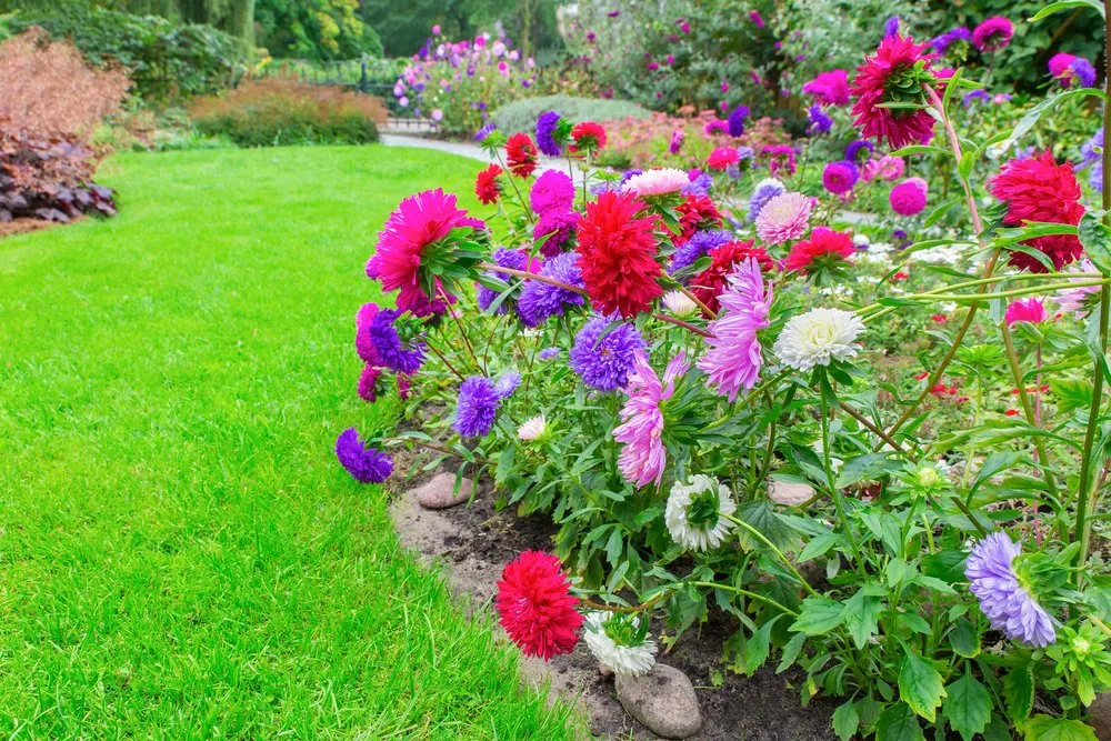 Professional residential landscaping for outdoor upgrades across Towsan, MD - Gimmys General Contracting