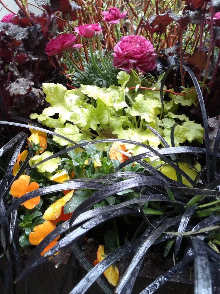 Local outdoor landscaping with custom design in Stanwood, WA by Gin & Beetles