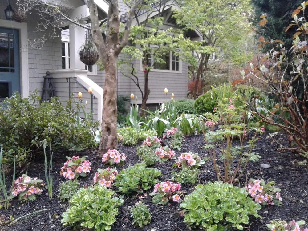 Custom outdoor landscaping in Stanwood, WA - Gin & Beetles