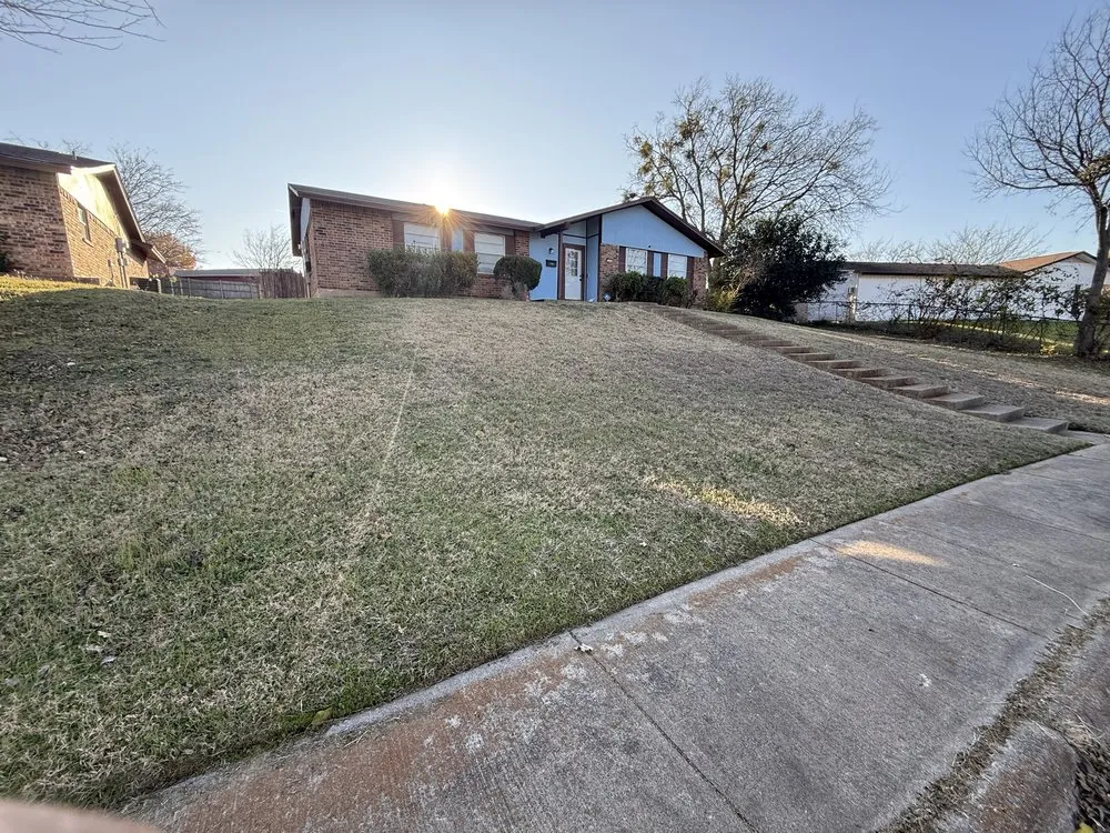 Professional yard cleanup service in Cedar Hill, TX - Ginale Lawn Services