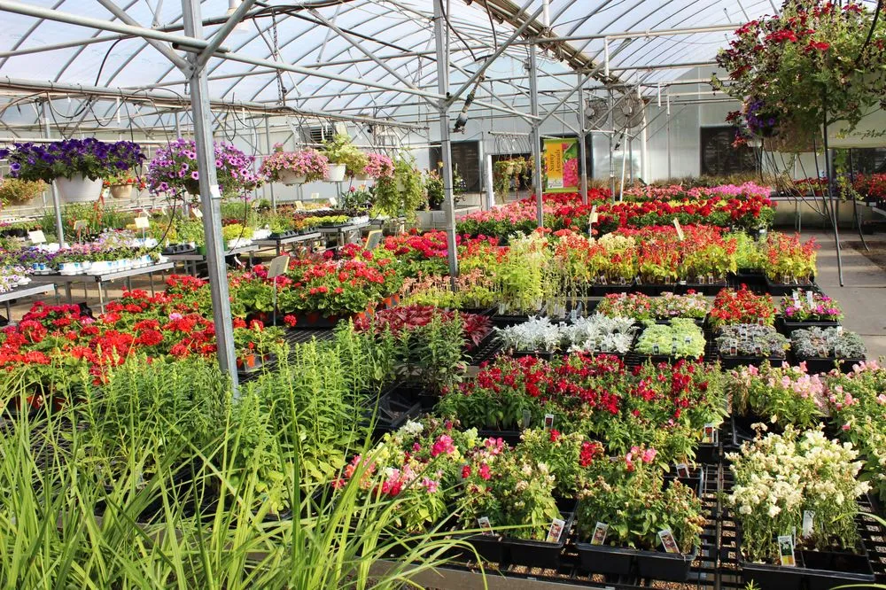 Local outdoor landscaping for year-round maintenance in Granger, IN by Ginger Valley