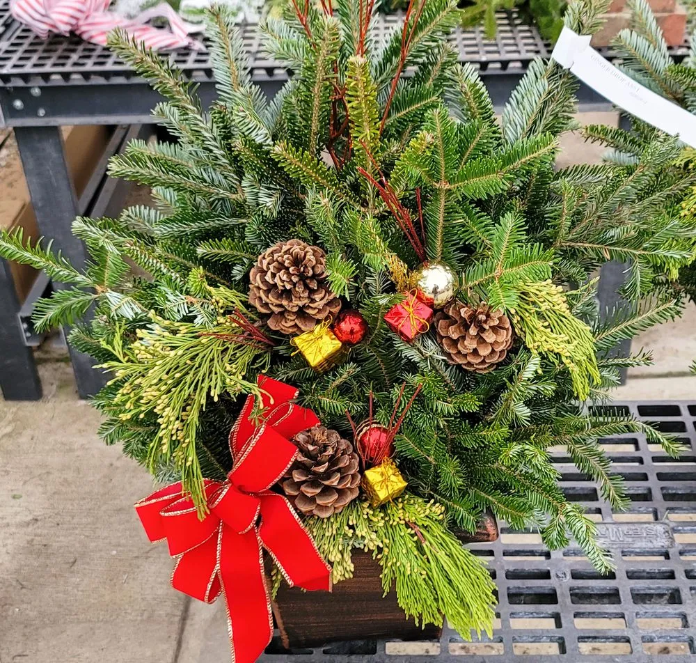 Custom lawn mowing service with custom design in Granger, IN by Ginger Valley