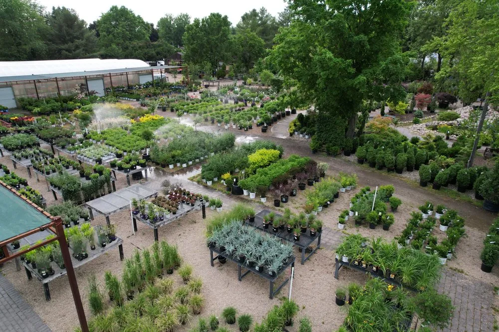 Local lawn mowing service in Granger, IN by Ginger Valley