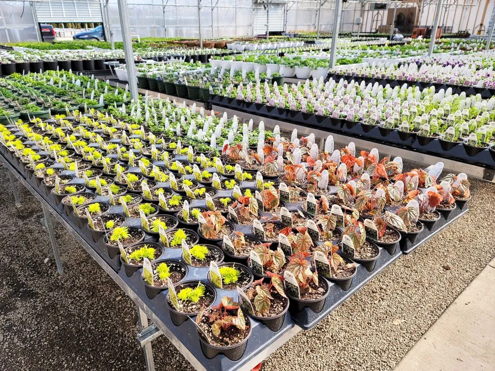 Local lawn care service in Granger, IN - Ginger Valley