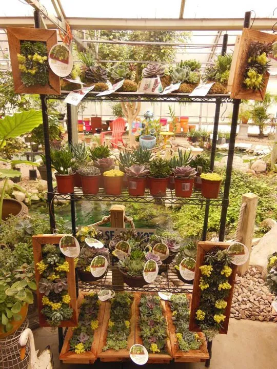 Trusted yard cleanup service in Granger, IN - Ginger Valley