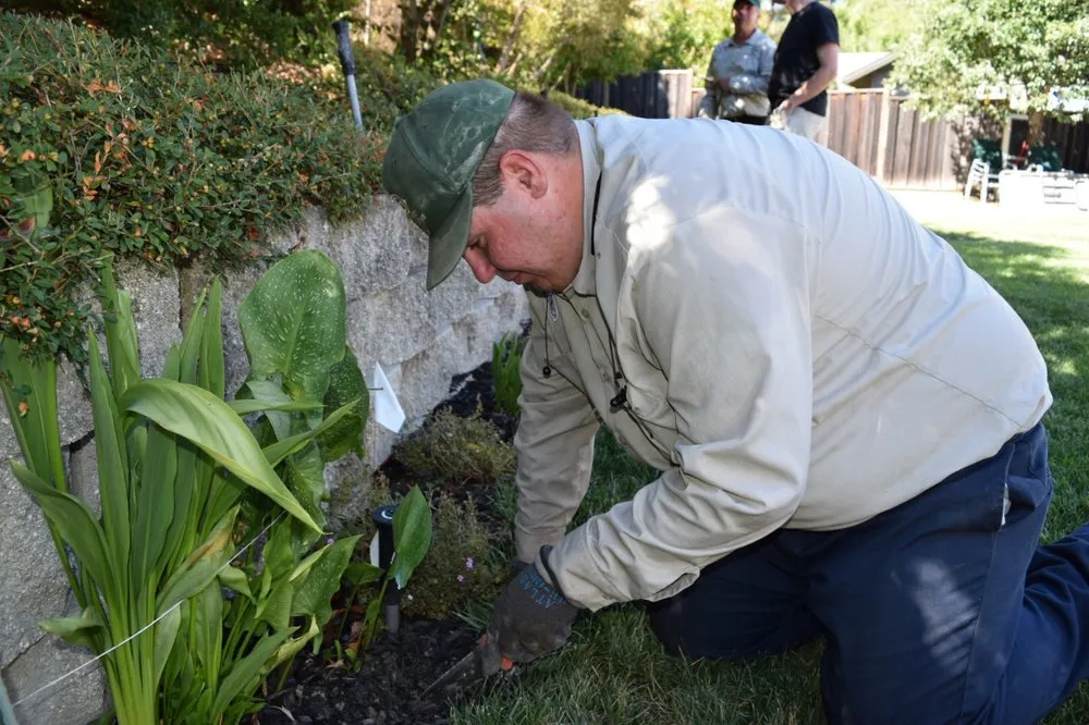 Custom residential landscaping in Concord, CA - Gingrich Horticulture Service