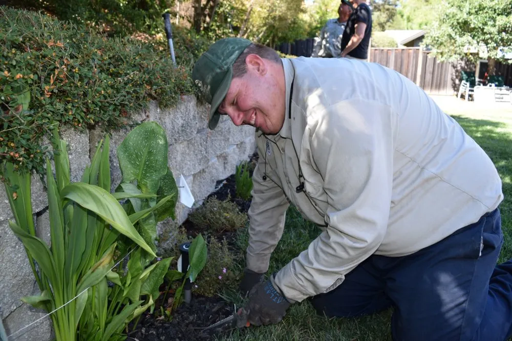 Reliable outdoor landscaping for year-round maintenance across Concord, CA - Gingrich Horticulture Service