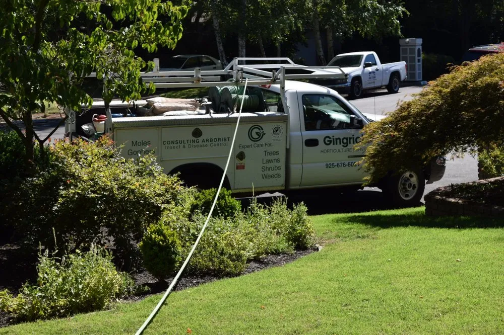 Reliable yard maintenance for outdoor upgrades across Concord, CA - Gingrich Horticulture Service