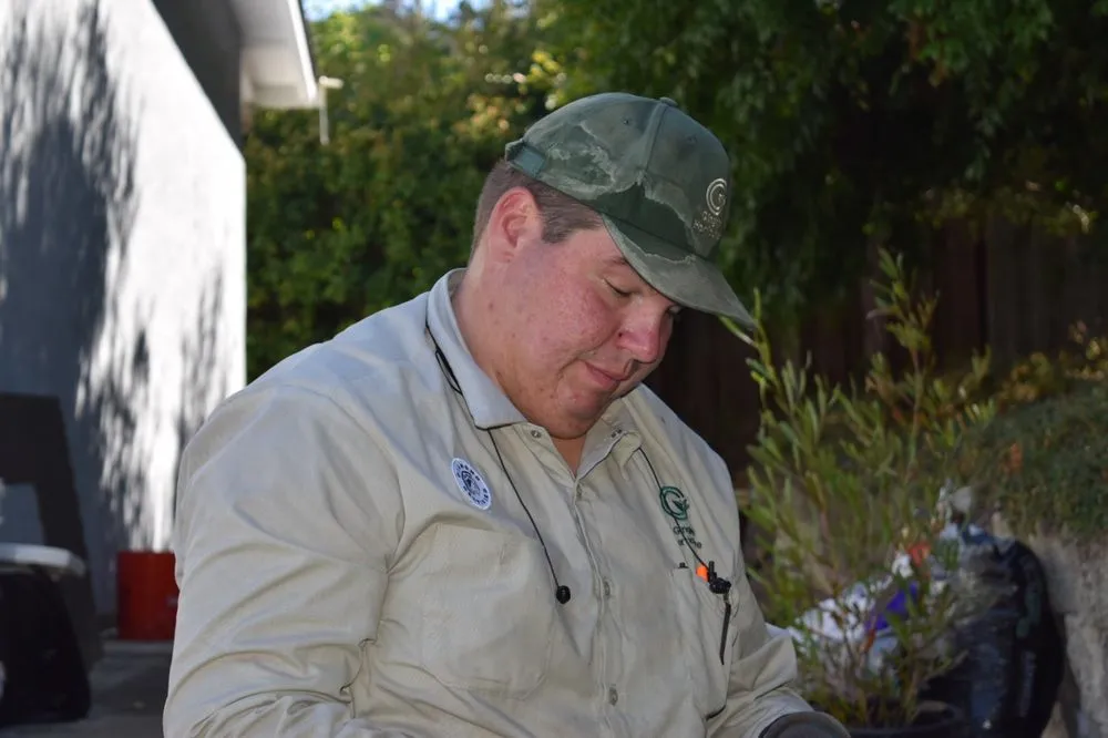 Custom outdoor landscaping experts serving Concord, CA - Gingrich Horticulture Service