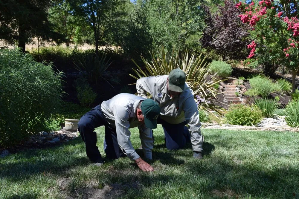 Professional landscape design experts serving Concord, CA - Gingrich Horticulture Service
