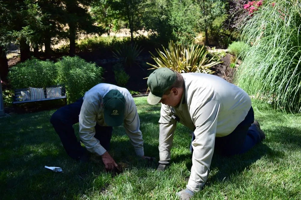 Reliable garden landscaping with custom design across Concord, CA - Gingrich Horticulture Service